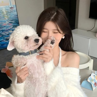 大使阁下的料理人